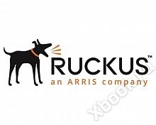 Ruckus 40G-QSFP-C-00501